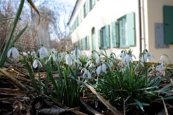 1 Abend – 3 Events